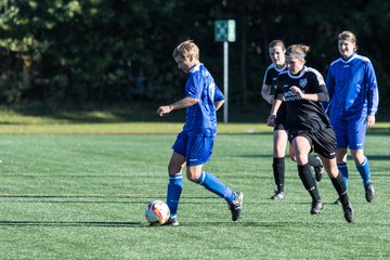 Bild 105 - Frauen SV Henstedt Ulzburg II - TSV Russee : Ergebnis: 6:0